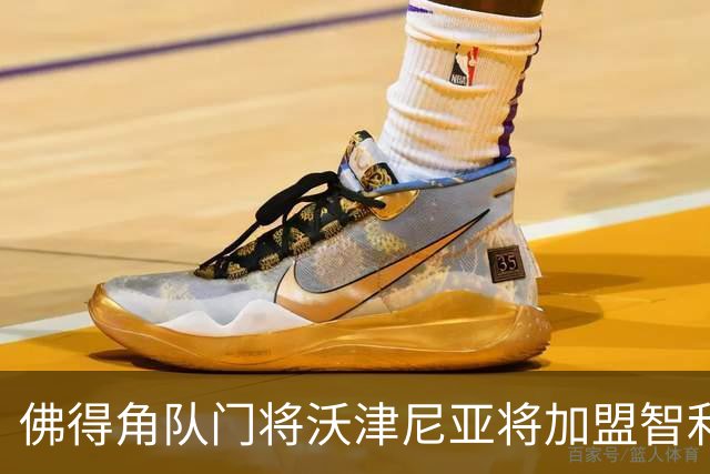 佛得角队门将沃津尼亚将加盟智利科洛科洛俱乐部