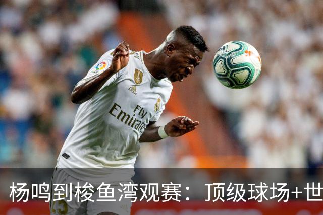 杨鸣到梭鱼湾观赛：顶级球场+世界级球迷文化=大连足球城底蕴