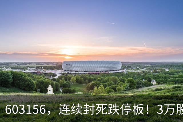 603156，连续封死跌停板！3万股民放声大哭！